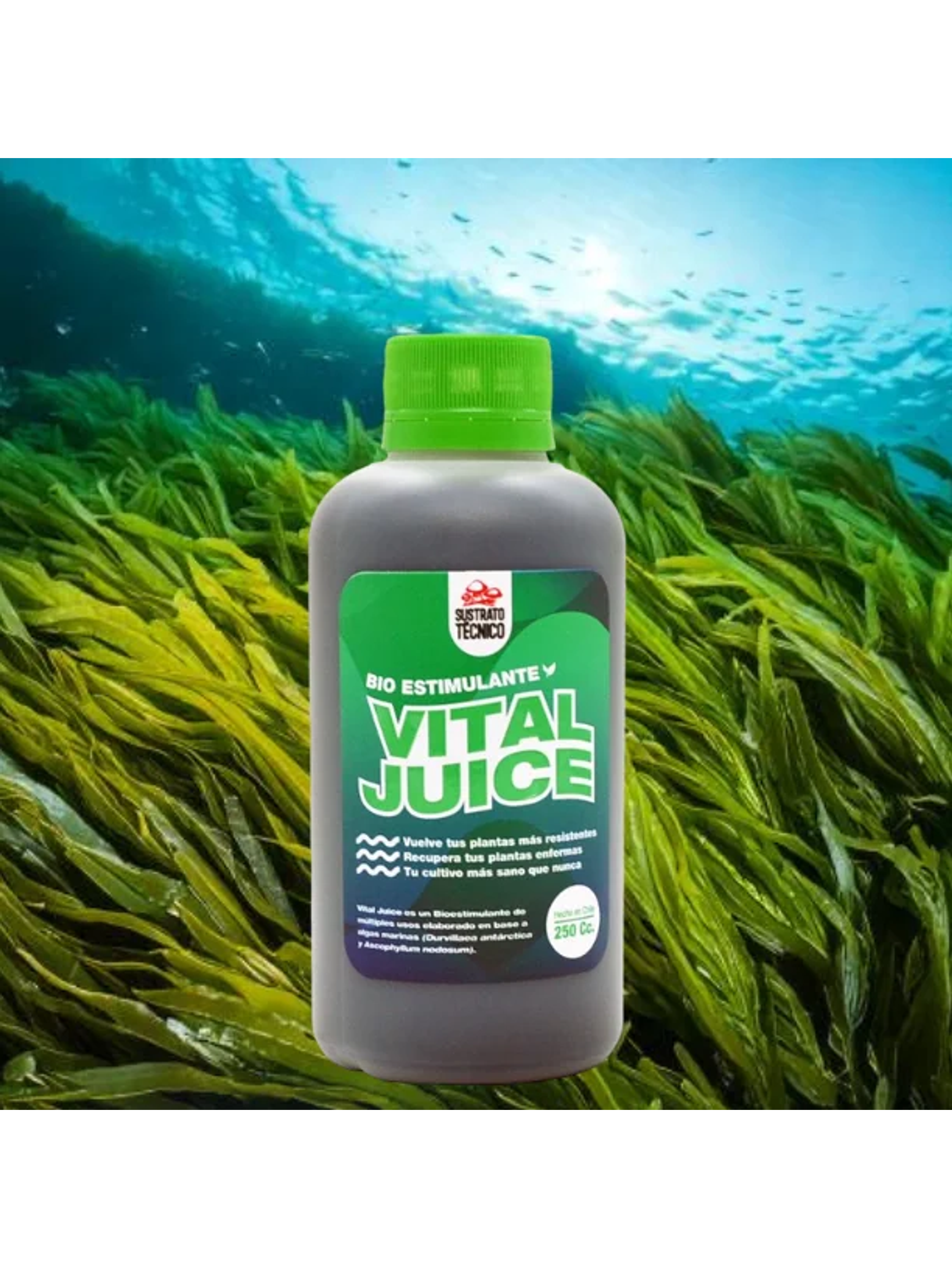 Vital Juice Bio Estimulante (1lt/250ml/60ml)-Sustrato Tecnico 3