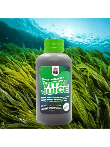 VITAL JUICE BIO ESTIMULANTE 250ML-SUSTRATO TECNICO 3
