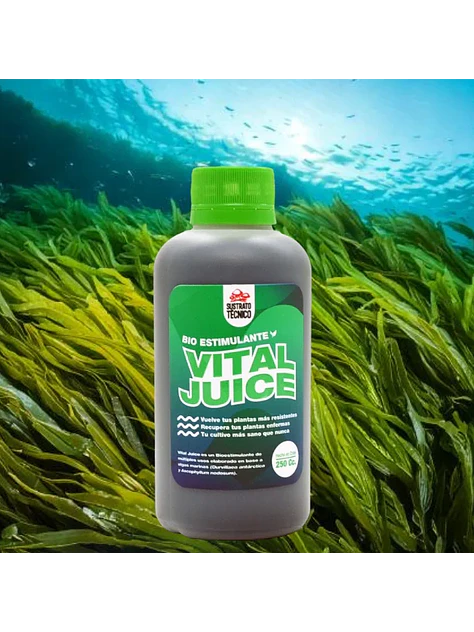 Vital Juice Bio Estimulante (1lt/250ml/60ml)-Sustrato Tecnico 3