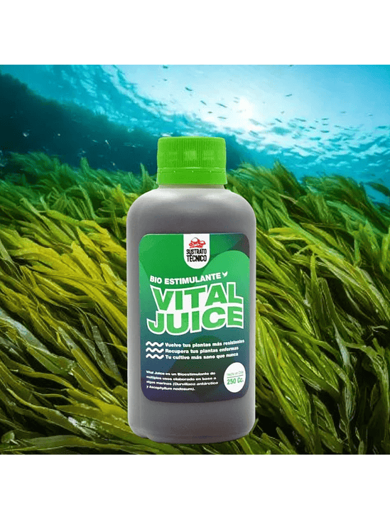VITAL JUICE BIO ESTIMULANTE 250ML-SUSTRATO TECNICO 3