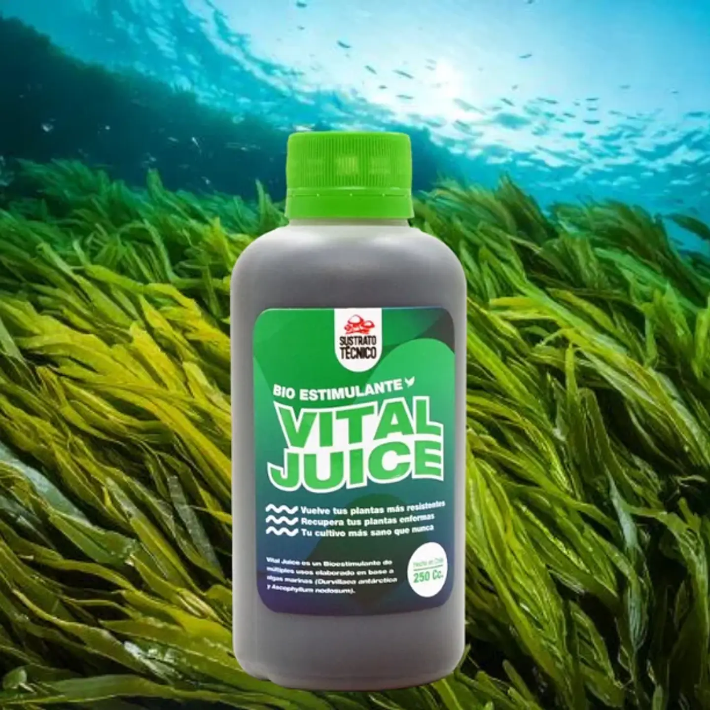 Vital Juice Bio Estimulante (1lt/250ml/60ml)-Sustrato Tecnico 3