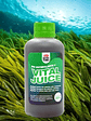 VITAL JUICE BIO ESTIMULANTE 250ML-SUSTRATO TECNICO - Miniatura 3