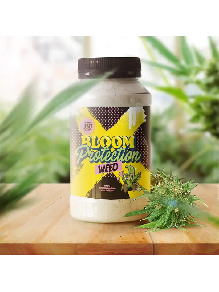 Diatomeas  -Bloom Protection 3