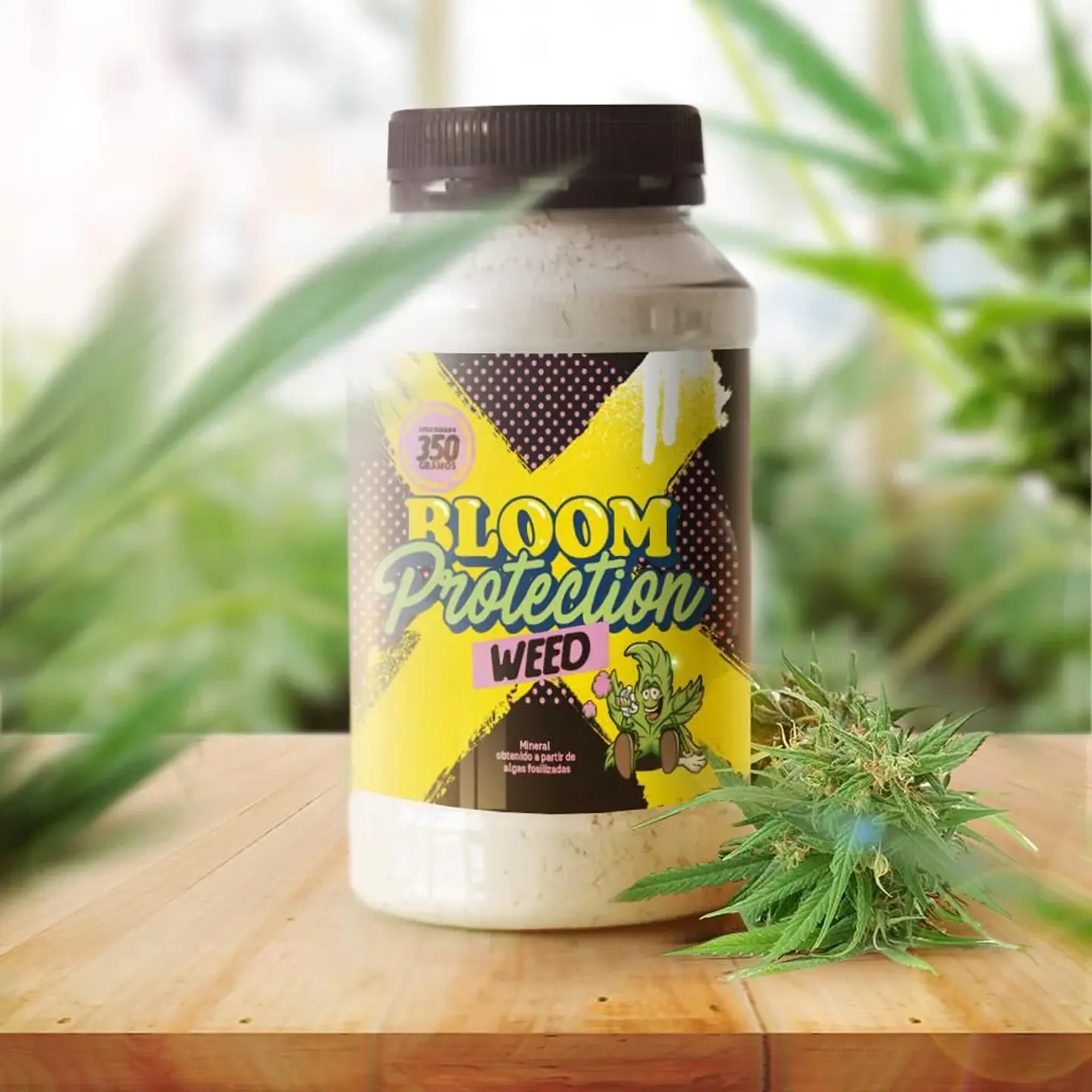 Diatomeas  -Bloom Protection 3