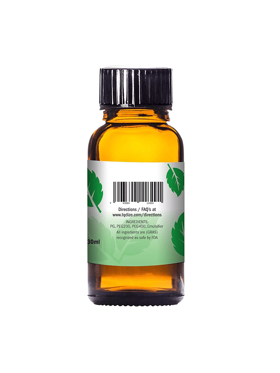 LIQUIDIZER WINTERGREEN 30ML KIT-LQDIZE 2