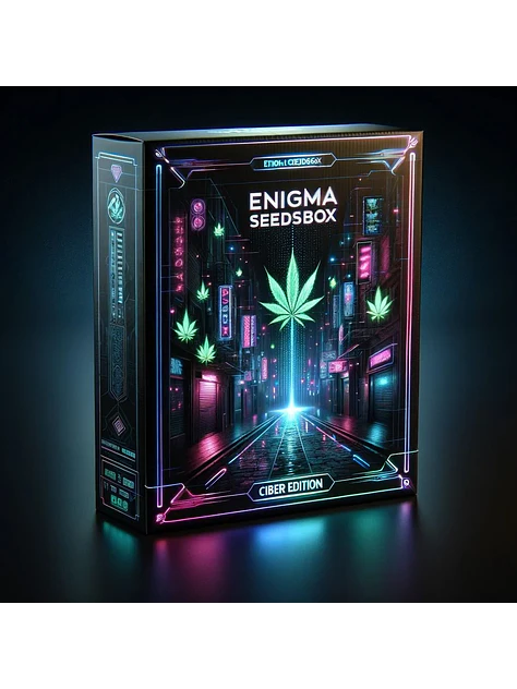 Seeds Box Xs X100- Enigma 1