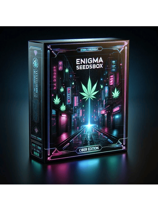 SEEDS BOX XS X100- ENIGMA 1