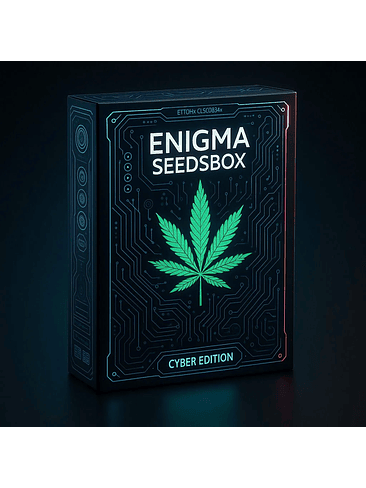 SEEDS BOX XS X100- ENIGMA 2