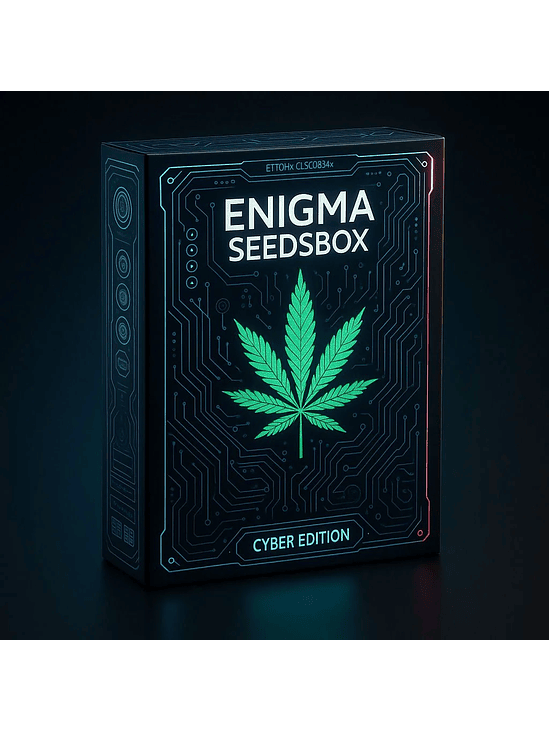 SEEDS BOX XS X100- ENIGMA 2