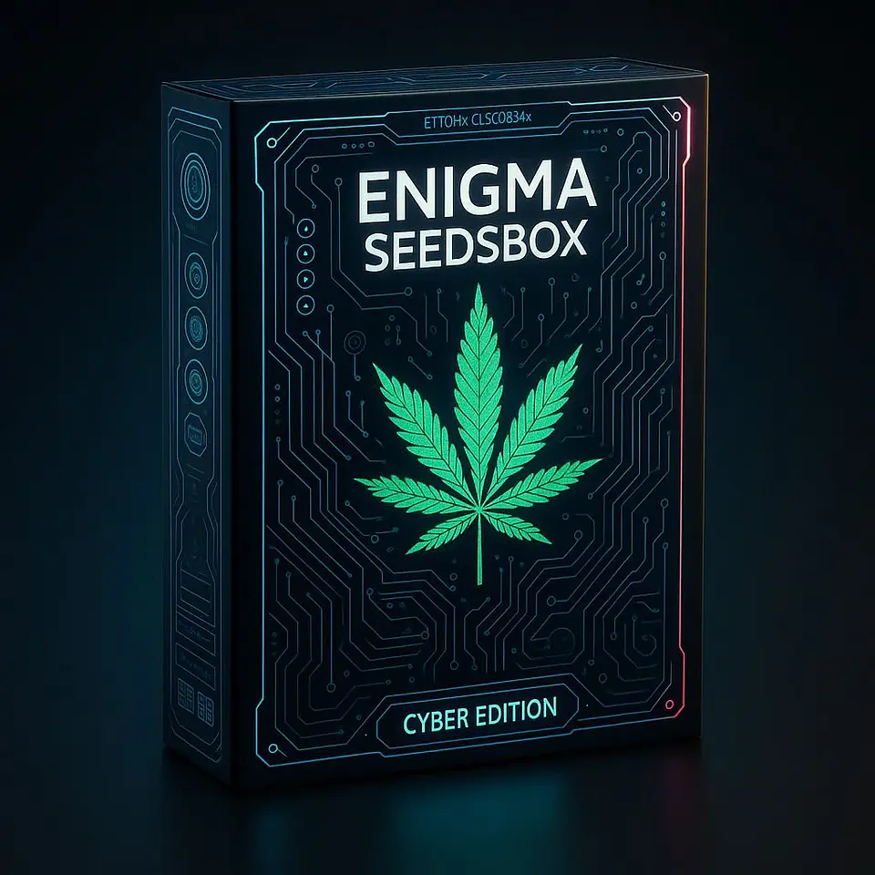 Seeds Box Xs X100- Enigma 2