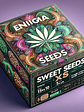 SEEDS BOX XS X100- ENIGMA - Miniatura 3