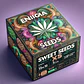 Seeds Box Xs X100- Enigma - Miniatura 3