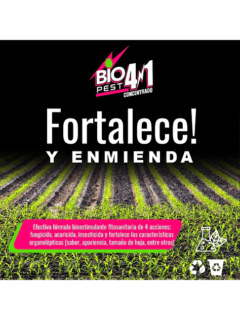 Recarga Antiplaga Concentrado 4 En 1 1Lt-Biopest 4