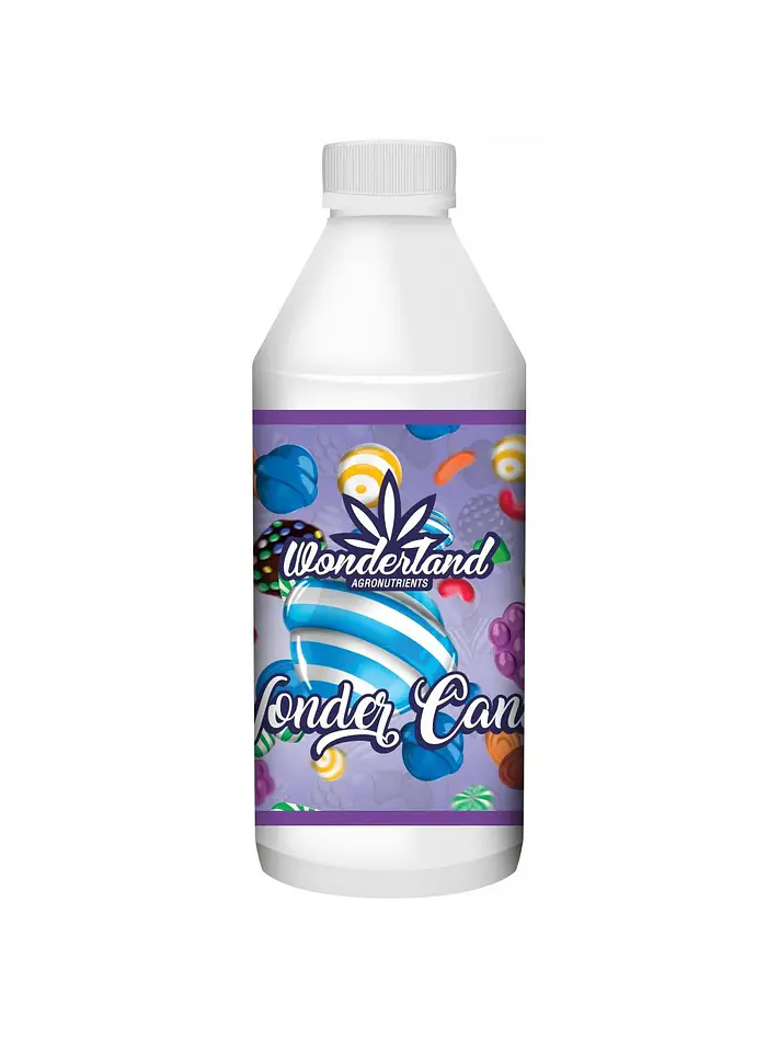 Wonder Candy -Wonderland 1