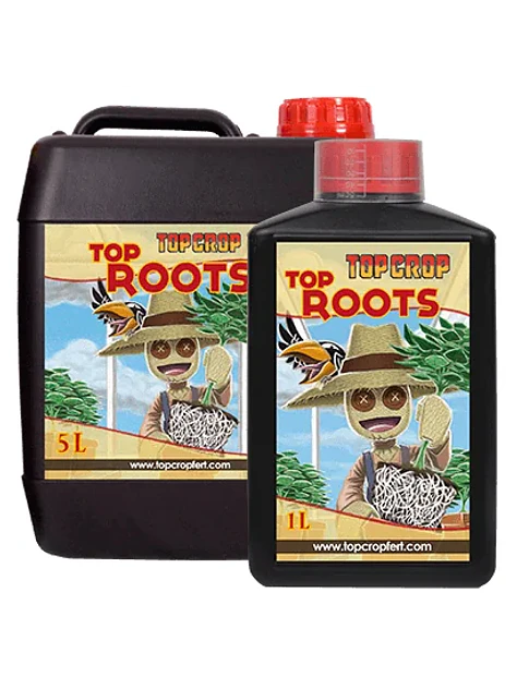 Top Roots -Top Crop 1