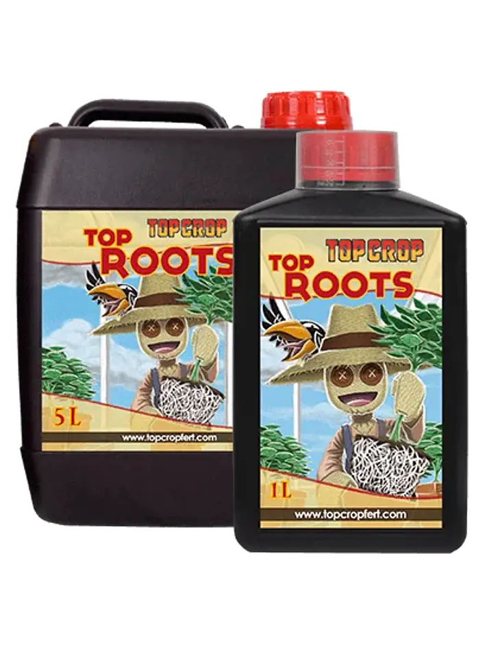 Top Roots -Top Crop 1