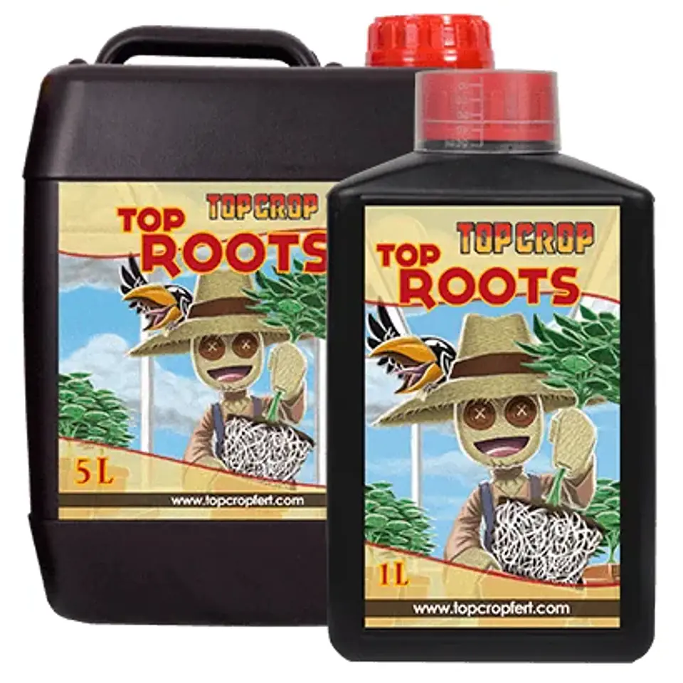 Top Roots -Top Crop 1