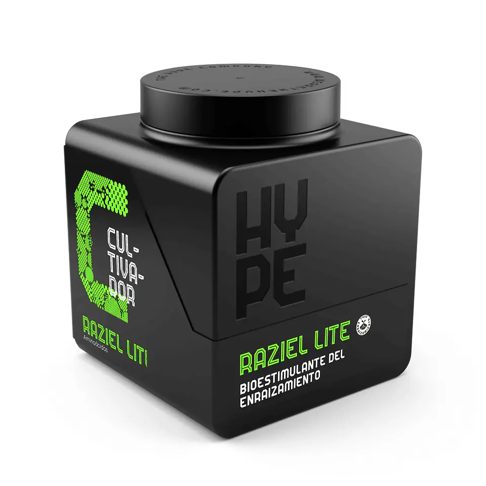 Raziel Lite -Hype 1