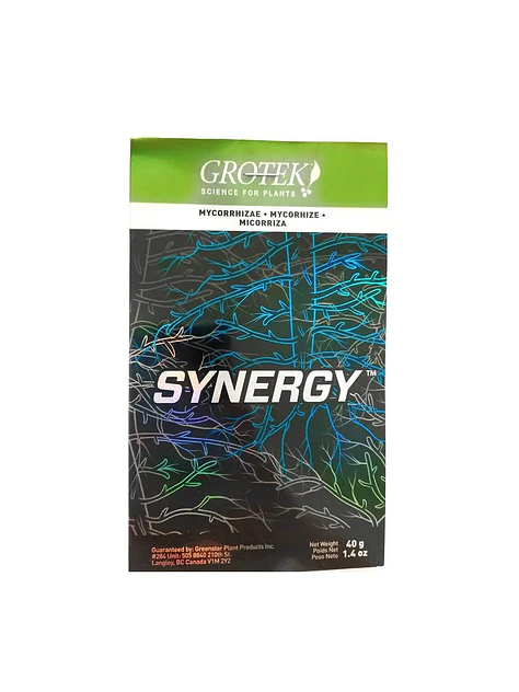Synergy -Grotek 1