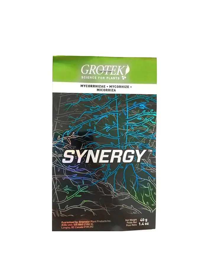Synergy -Grotek 1