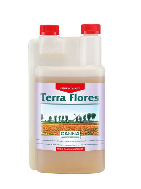 Terra Flores -Canna 1