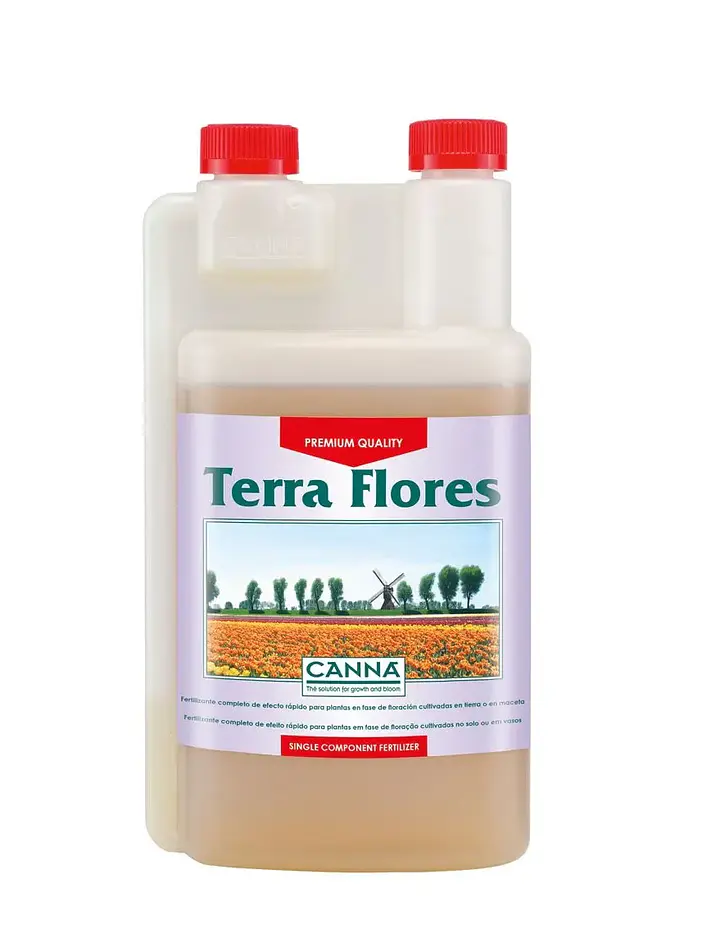 Terra Flores -Canna 1