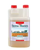 Terra Flores -Canna - Miniatura 1