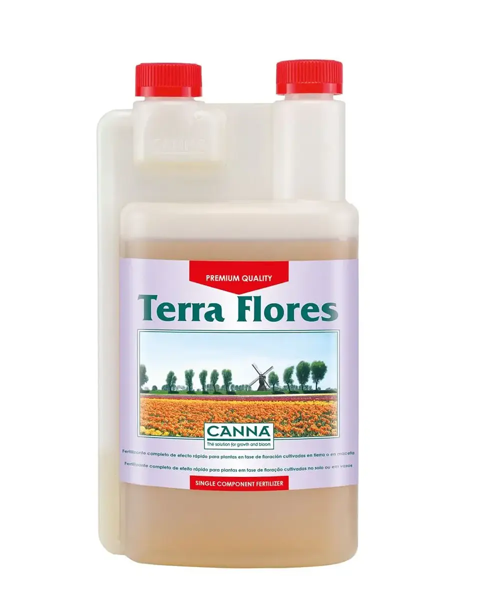 Terra Flores -Canna 1