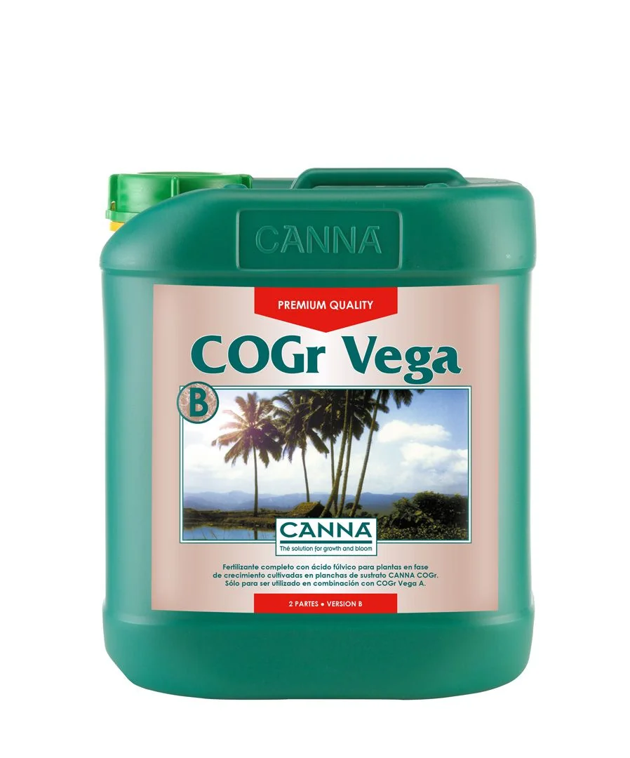 Cogr Vega A + B -Canna 1