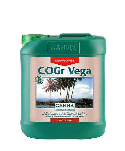 Cogr Vega A + B -Canna