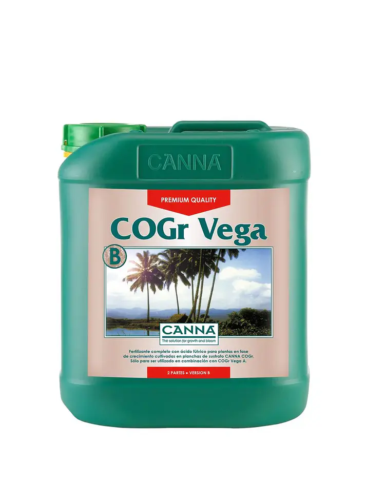Cogr Vega A + B -Canna 1