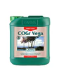 Cogr Vega A + B -Canna - Miniatura 1