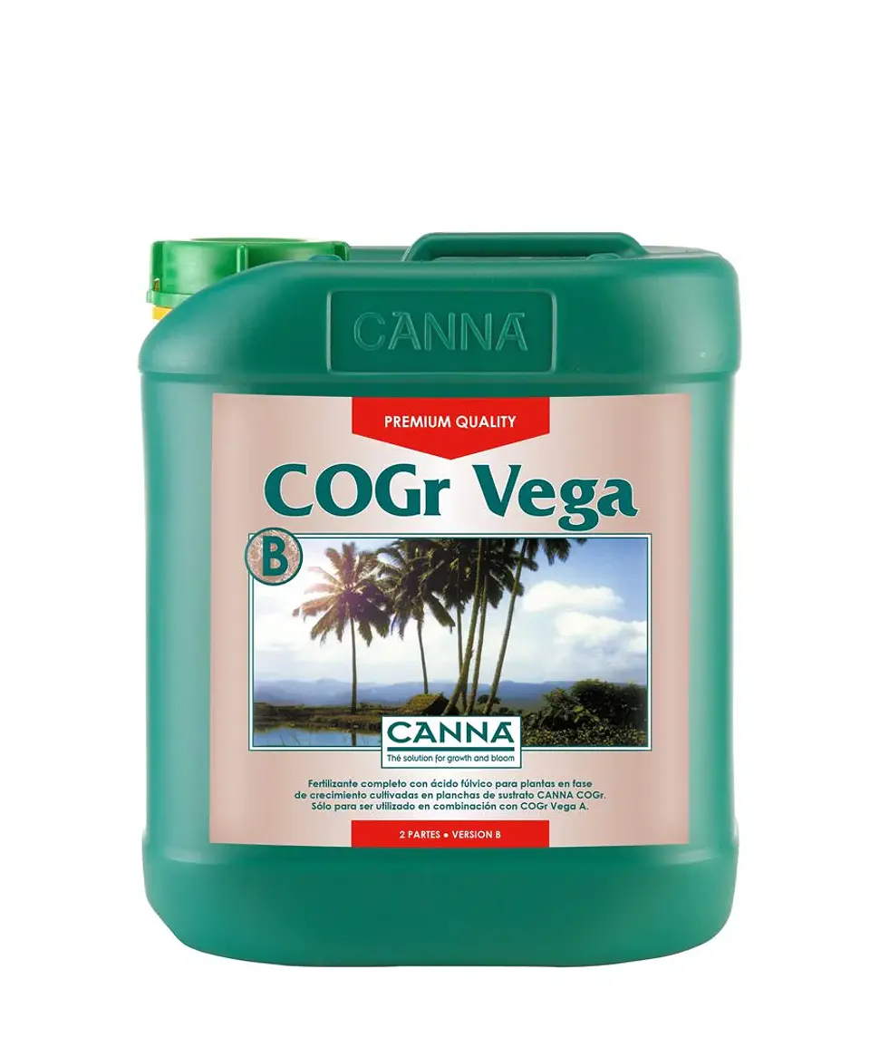 Cogr Vega A + B -Canna 1