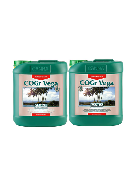 Cogr Vega A + B -Canna 3