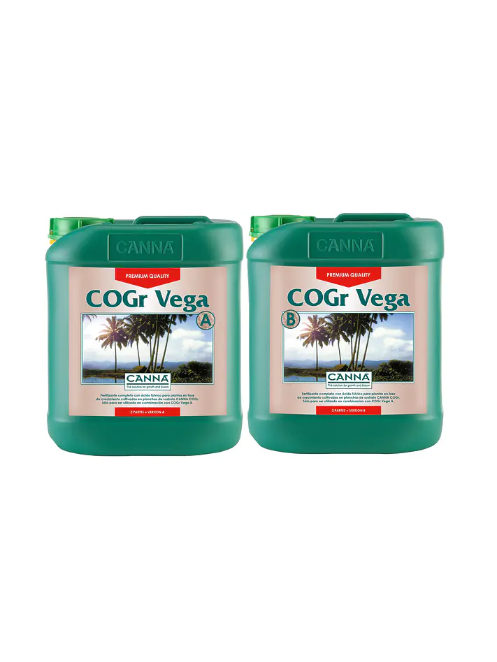 Cogr Vega A + B -Canna 3