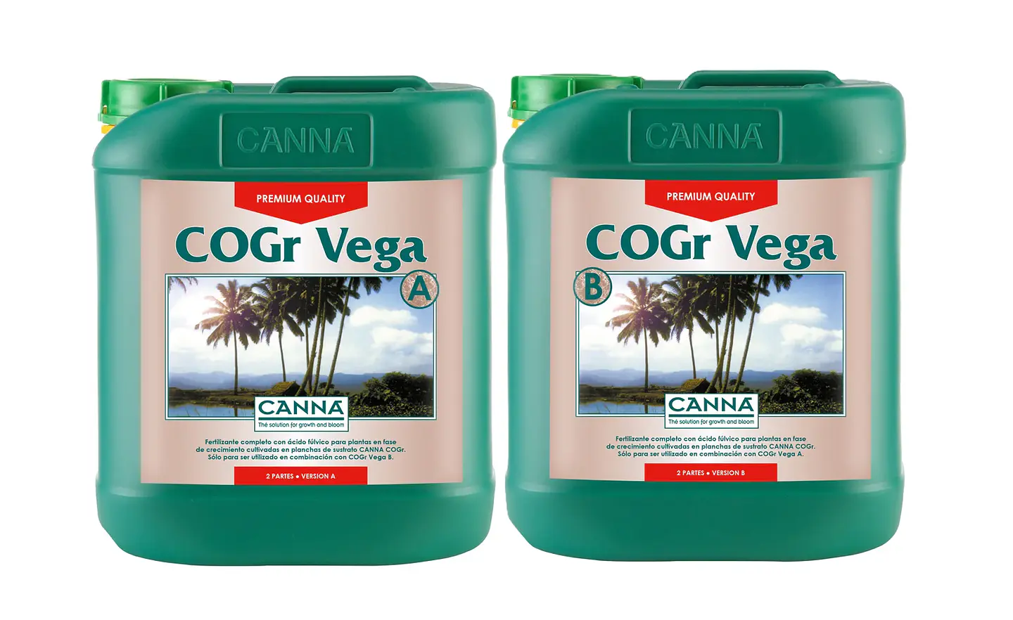 Cogr Vega A + B -Canna 3