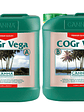 COGR VEGA A + B 5LT-CANNA - Miniatura 3