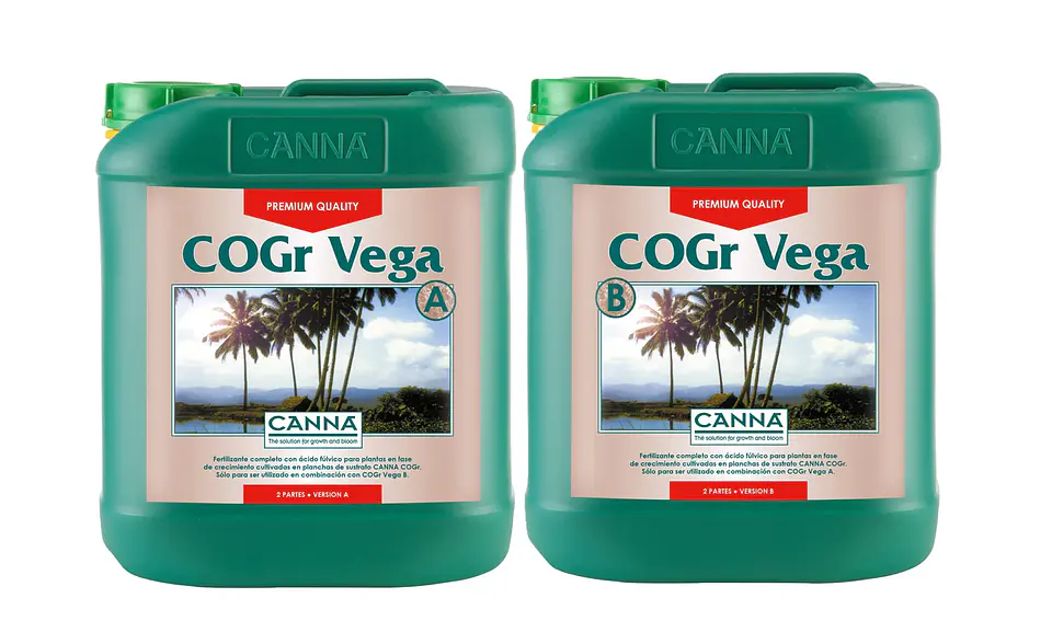 Cogr Vega A + B -Canna 3