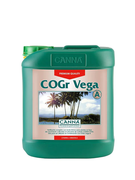 Cogr Vega A + B -Canna 2