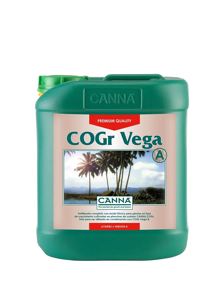 Cogr Vega A + B -Canna 2