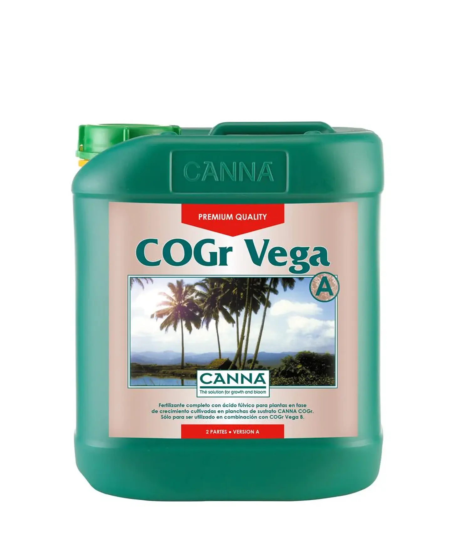 Cogr Vega A + B -Canna 2