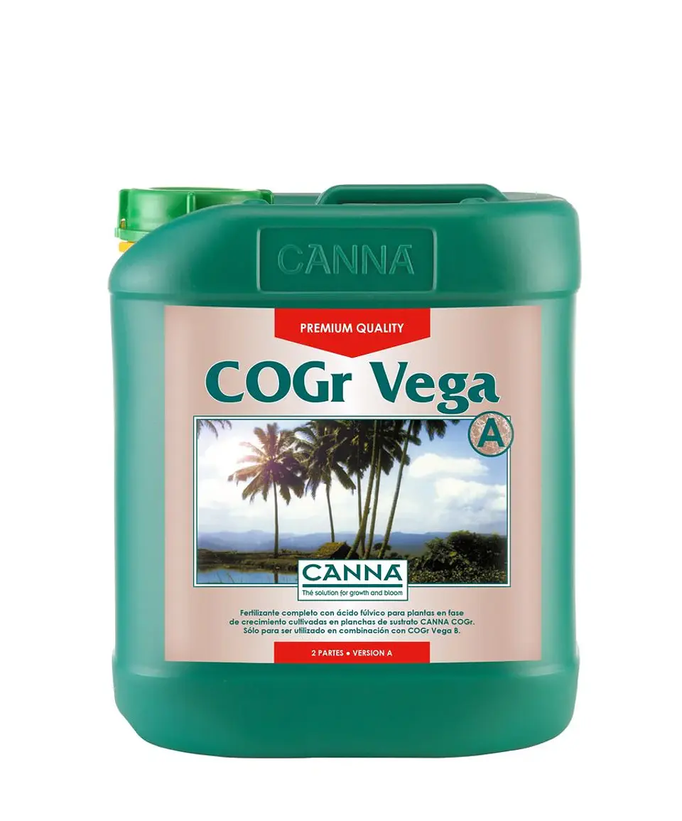 Cogr Vega A + B -Canna 2
