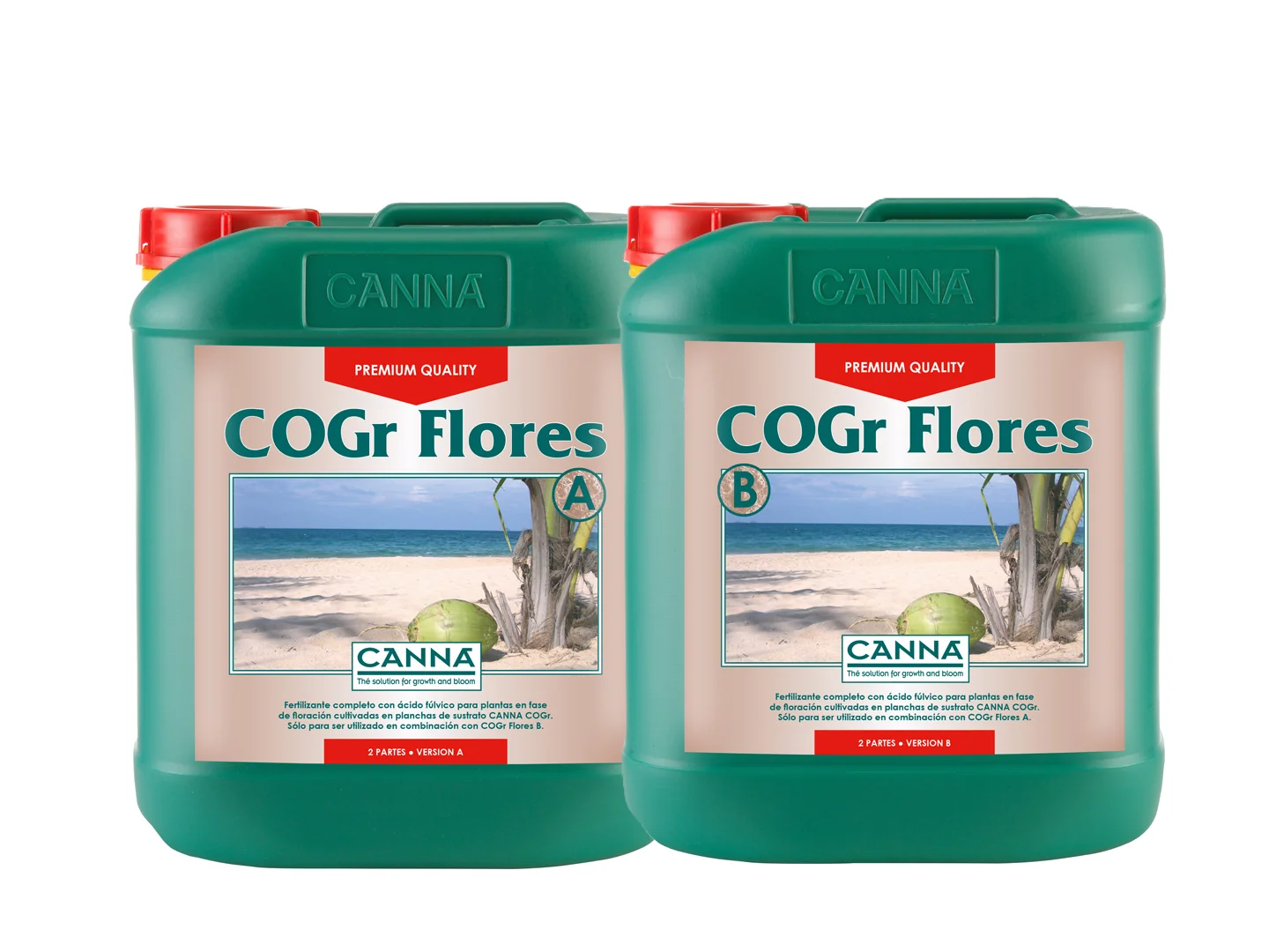 Cogr Flores A + B-Canna 3
