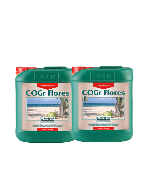 Cogr Flores A + B-Canna 3