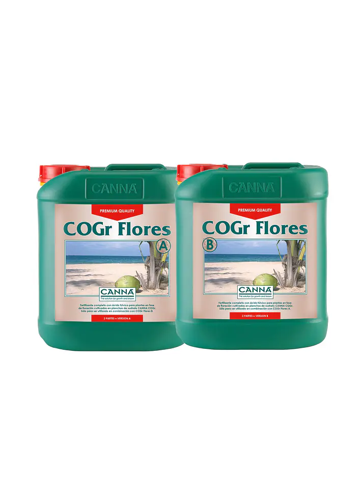Cogr Flores A + B-Canna 3