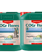 COGR FLORES A + B 5LT-CANNA - Miniatura 3