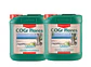 Cogr Flores A + B-Canna - Miniatura 3