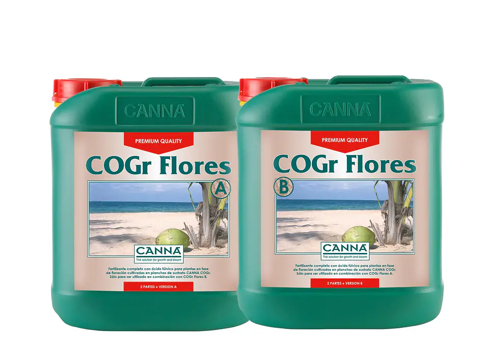 Cogr Flores A + B-Canna 3