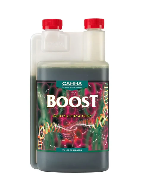 Boost Accelerator -Canna 1