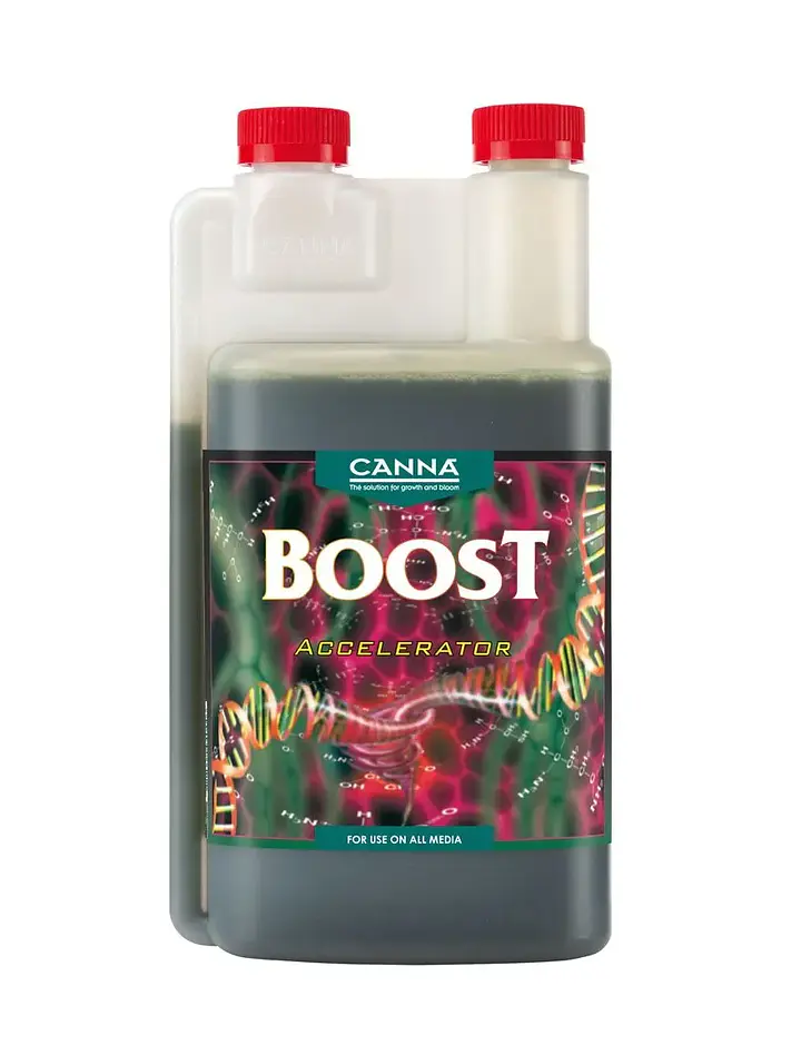Boost Accelerator -Canna 1